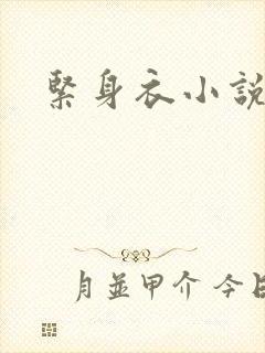 紧身衣小说