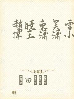赵晓东吴雪晴郑伟王潇潇小说名字