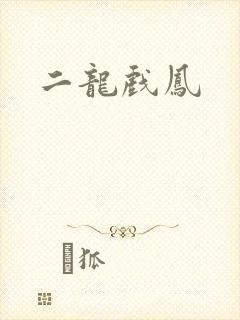 二龙戏凤