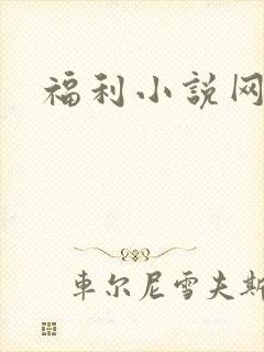 福利小说网