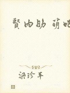 贤内助 萌吧啦封面