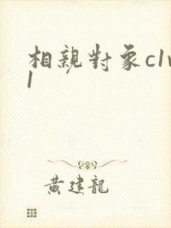 相亲对象c1v1
