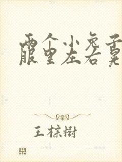 两个小兔子在衣服里左右晃