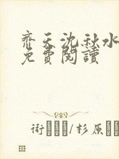 齐天沈秋水小说免费阅读封面