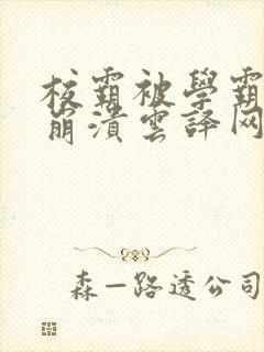 校霸被学霸玩到崩溃云译网