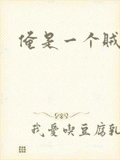 俺是一个贼