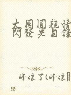 大团圆亲情会闪闪发光目录封面