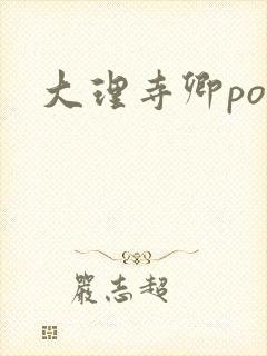 大理寺卿po封面