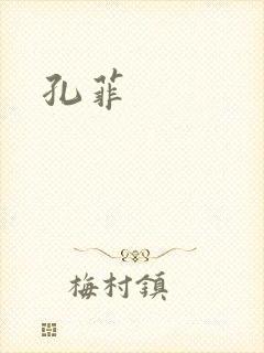 孔菲封面