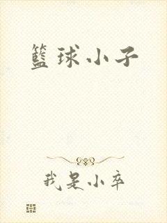 篮球小子