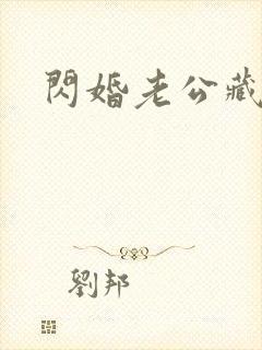 闪婚老公藏不住
