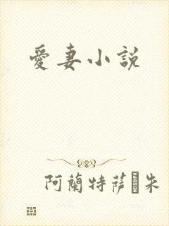 爱妻小说