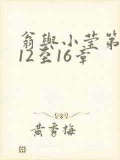 翁与小莹第十部12至16章