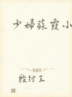 少妇苏霞小说