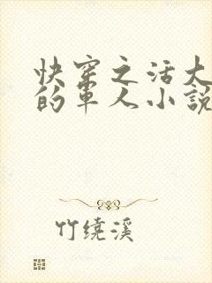 快穿之活大器好的军人小说封面