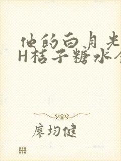 他的白月光HVH桔子糖水全文