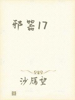 邪器17封面