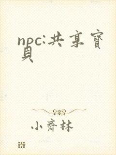 npc:共享宝贝