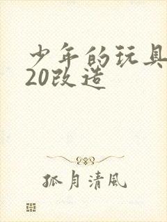 少年的玩具1一20改造封面