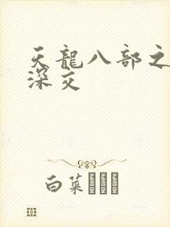 天龙八部之极乐深交封面
