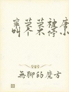 宁荣荣被唐三桶叫个不停小说封面