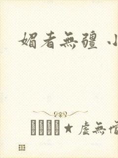 媚者无疆 小说封面