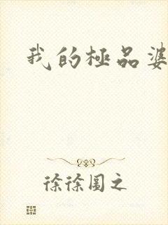 我的极品婆婆