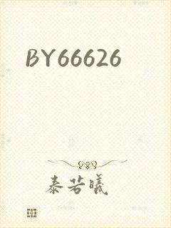 BY66626封面