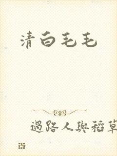 清白毛毛封面