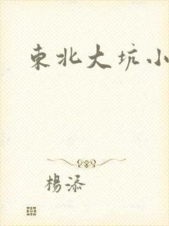 东北大坑小说