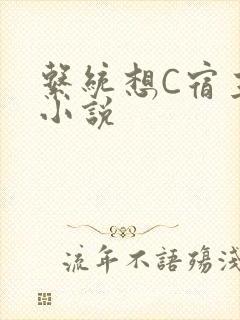 系统想C宿主的小说
