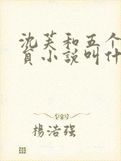 沈芙和五个消防员小说叫什么封面