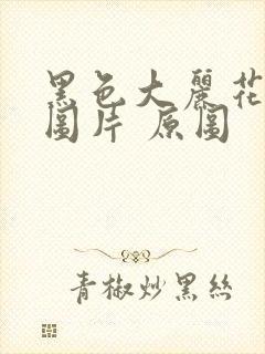 黑色大丽花真实图片 原图