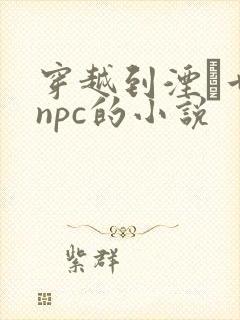 穿越到湮婸世界npc的小说