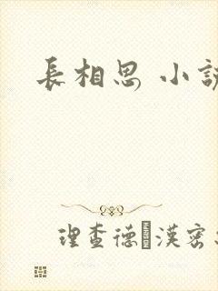长相思 小说