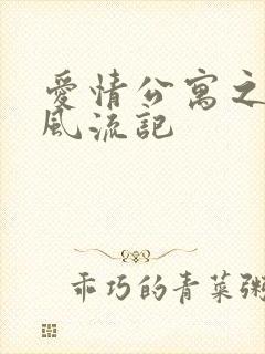 爱情公寓之子乔风流记封面