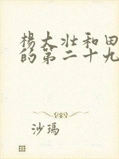 杨大壮和田桂花的第二十九封面