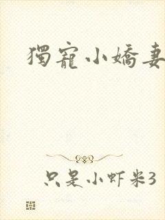 独宠小娇妻