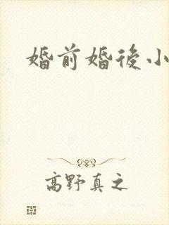婚前婚后小说封面
