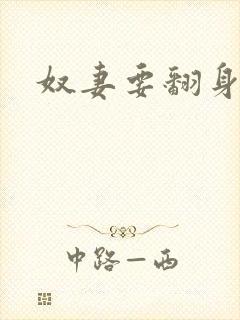 奴妻要翻身封面