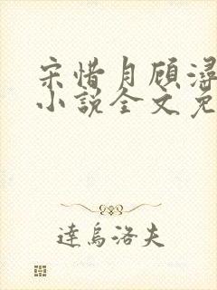 宋惜月顾浔渊的小说全文免费阅读