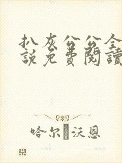 扒灰公公全部小说免费阅读全文封面