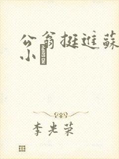 公翁挺进苏玥的小泬封面