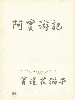 阿宾游记