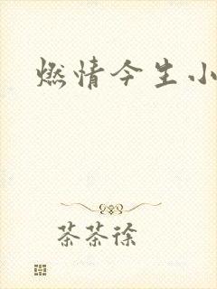 燃情今生小说
