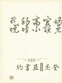 我的高官妈妈苏晚晴小说免费阅读