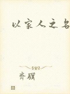 以家人之名小说