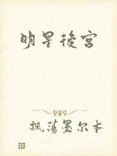 明星后宫