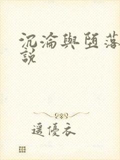 沉沦与堕落的小说封面