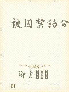 被囚禁的公主